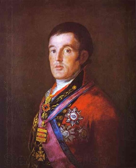 Francisco Jose de Goya Portrait of the Duke of Wellington. Norge oil painting art